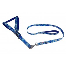 Scoobee Dog Military Style Padded Nylon Harness And Leash Set 1 Inch